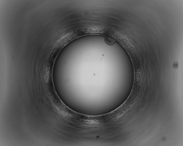 X0000098080741200804041148