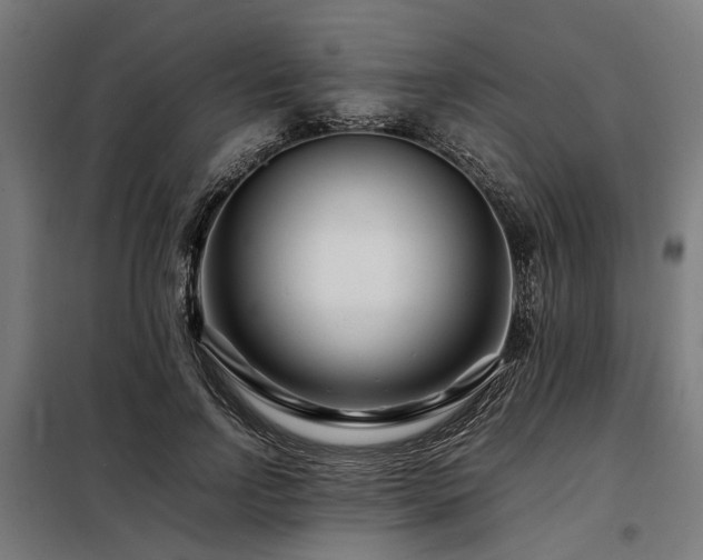 X0000098080742200804041148