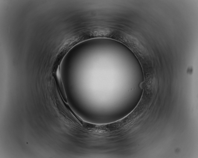 X0000098080743200804041148