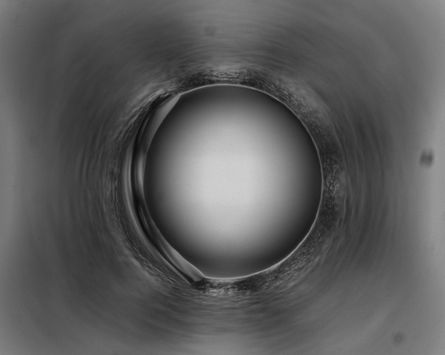 X0000098080744200804041148