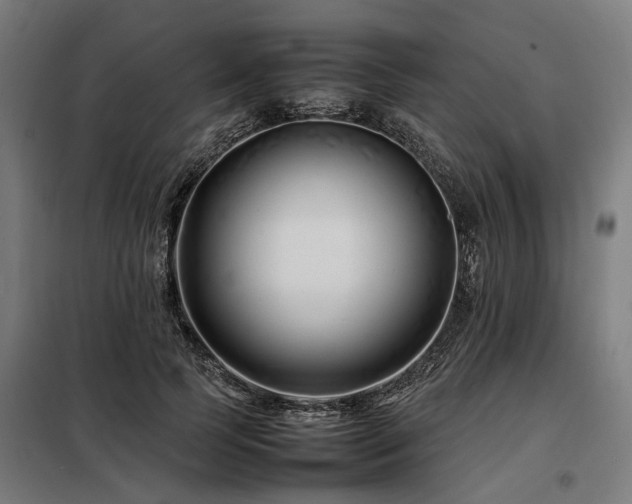 X0000098080745200804041148