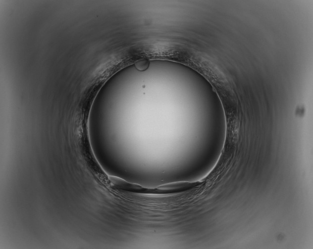 X0000098080746200804041148