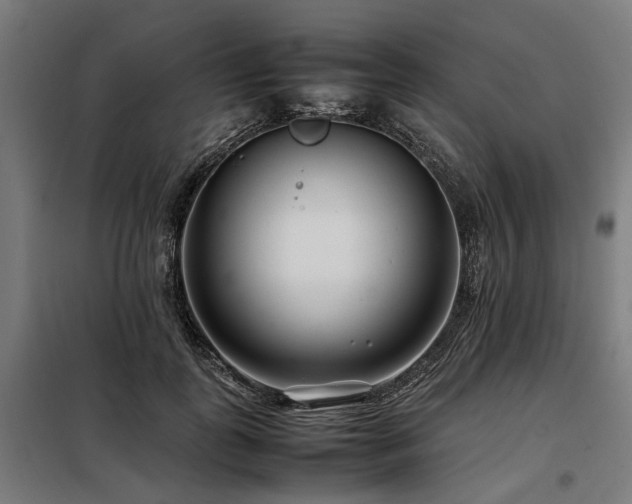 X0000098080747200804041148