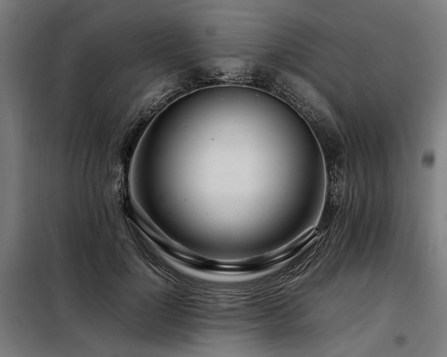 X0000098080748200804041148