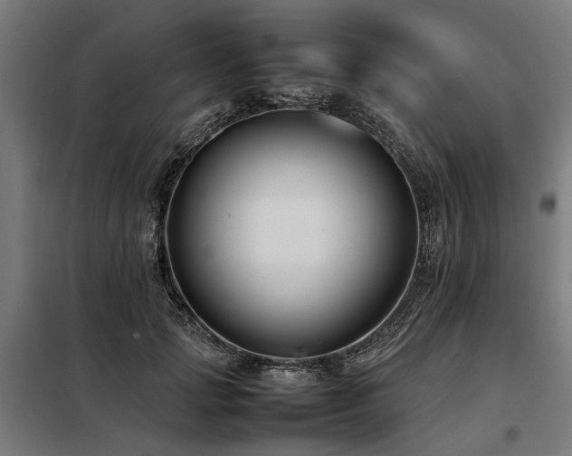 X0000098080749200804041148