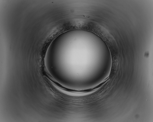 X0000098080750200804041148
