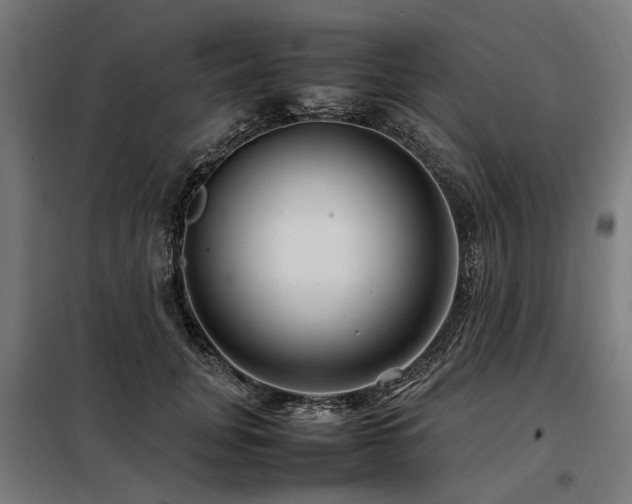 X0000098080751200804041148