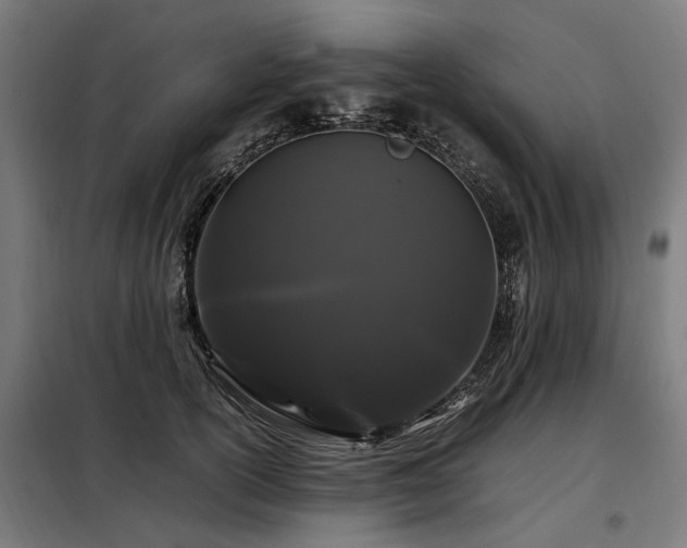 X0000098080754200804041148