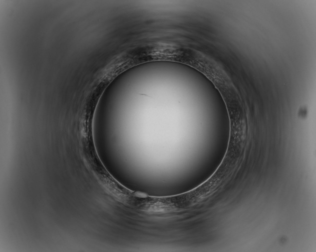 X0000098080755200804041148