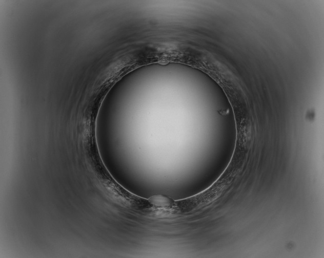 X0000098080756200804041148