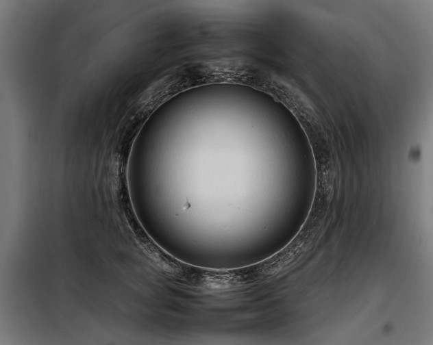 X0000098080757200804041148