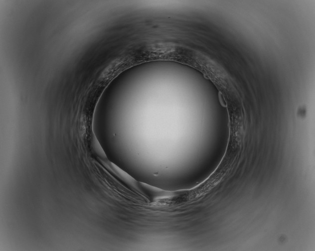 X0000098080758200804041149