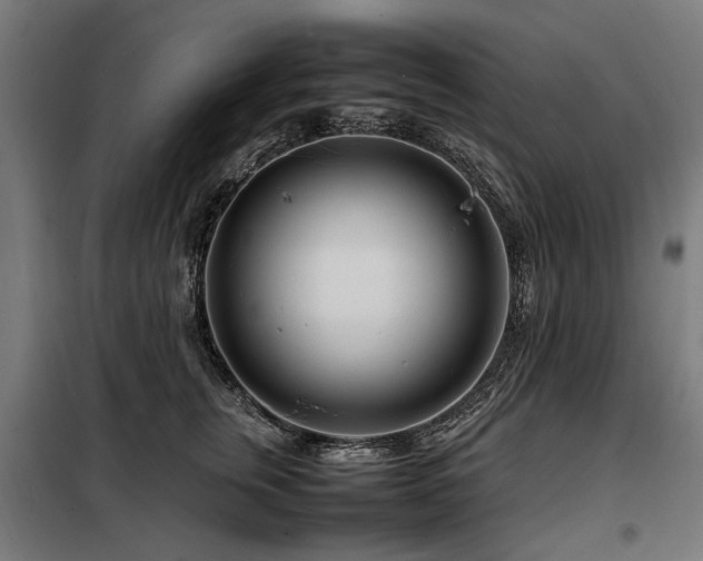 X0000098080759200804041149