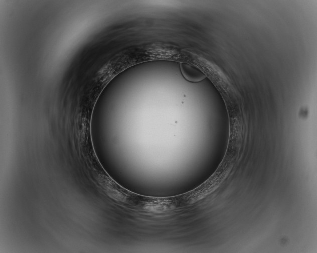 X0000098080761200804041149
