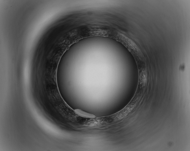 X0000098080764200804041149