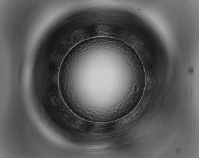 X0000098080765200804041149