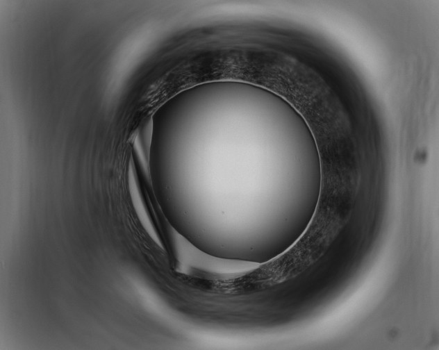 X0000098080766200804041149