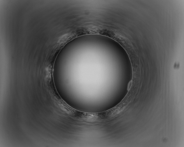 X0000098080768200804041149