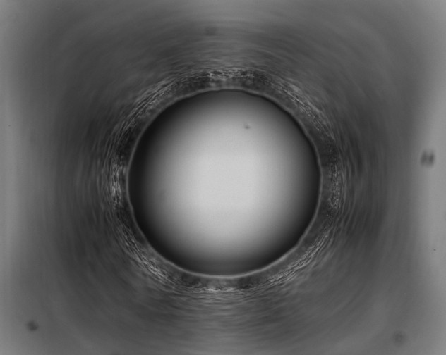 X0000098080770200804041148