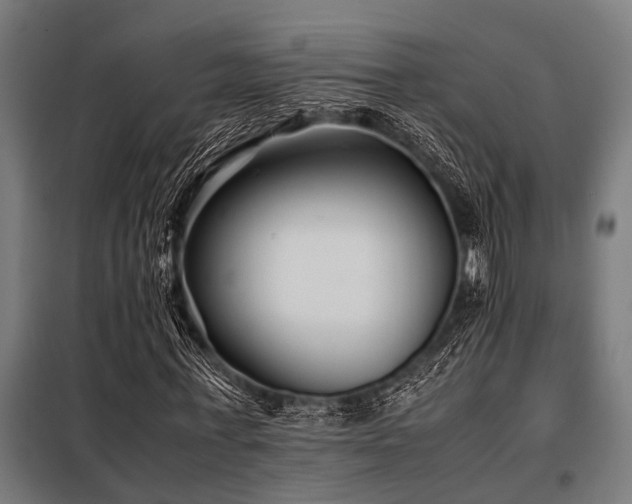 X0000098080771200804041148