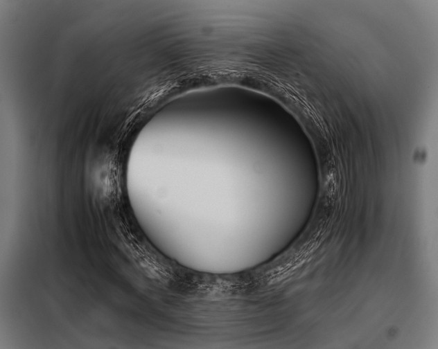 X0000098080772200804041148