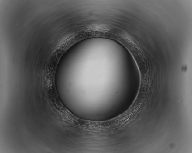 X0000098080774200804041148