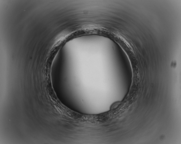 X0000098080775200804041148