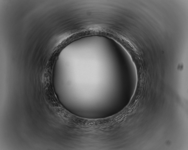X0000098080776200804041148
