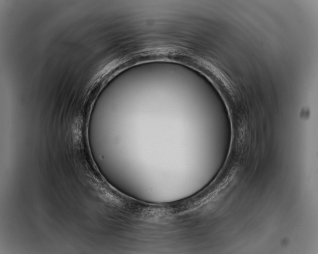 X0000098080778200804041148