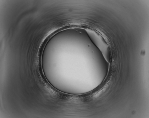 X0000098080779200804041148