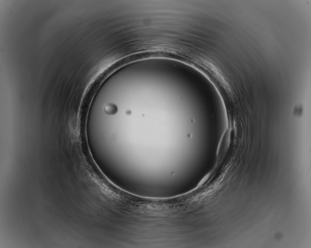 X0000098080780200804041148
