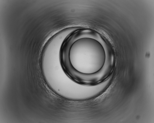 X0000098080781200804041148