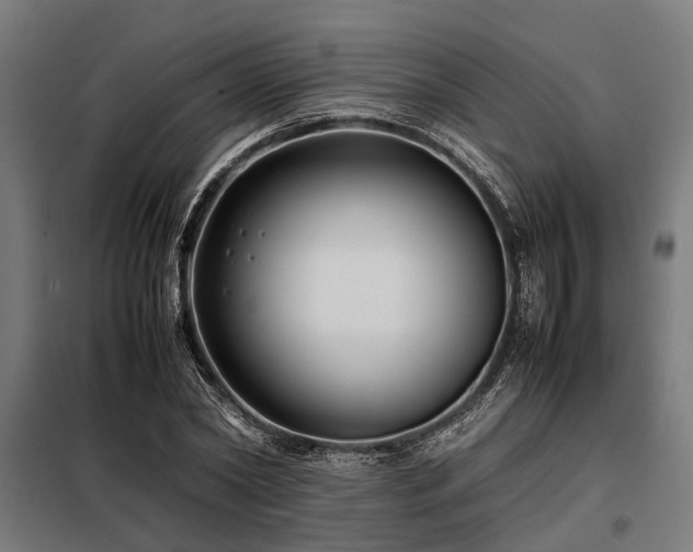 X0000098080782200804041148