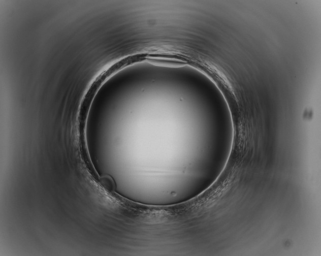 X0000098080784200804041148