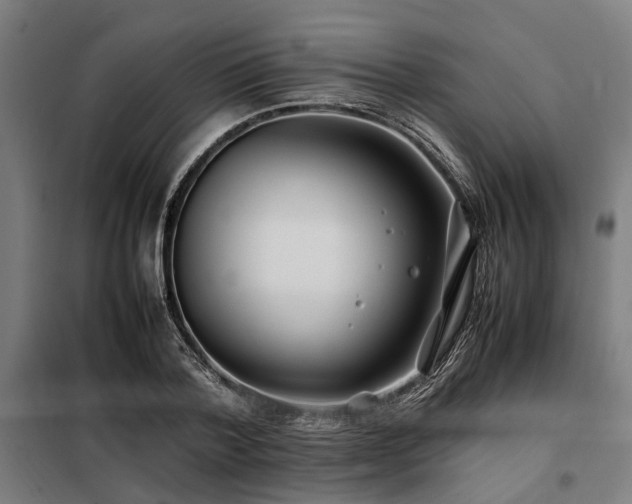 X0000098080788200804041148