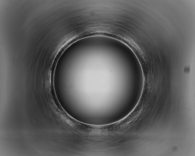 X0000098080790200804041147