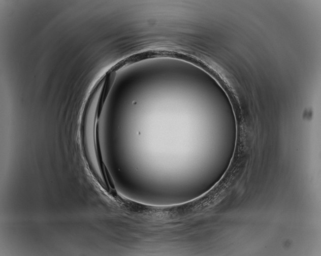 X0000098080791200804041147