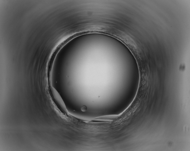 X0000098080792200804041147