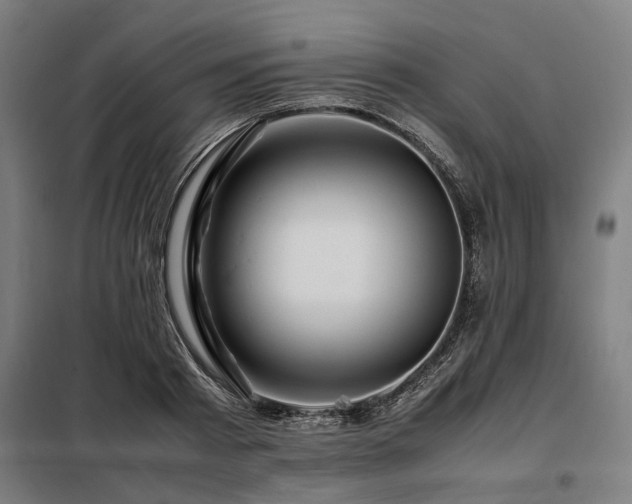 X0000098080793200804041147