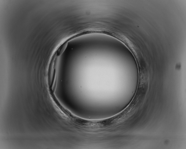 X0000098080795200804041147