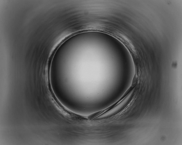 X0000098080796200804041147