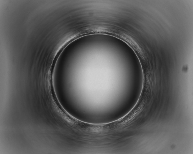 X0000098080798200804041147