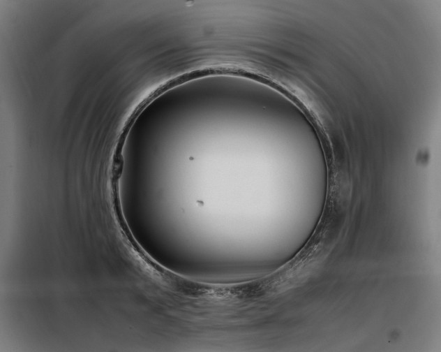X0000098080799200804041147