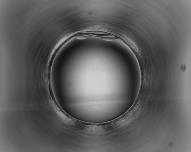 X0000098080800200804041147