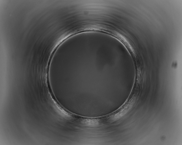 X0000098080802200804041147