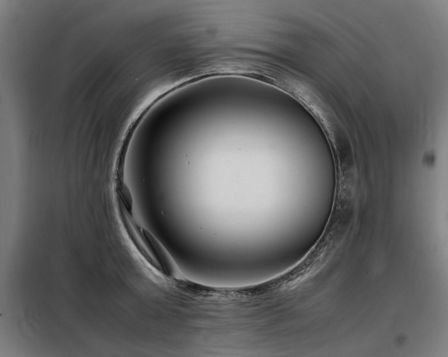 X0000098080803200804041147