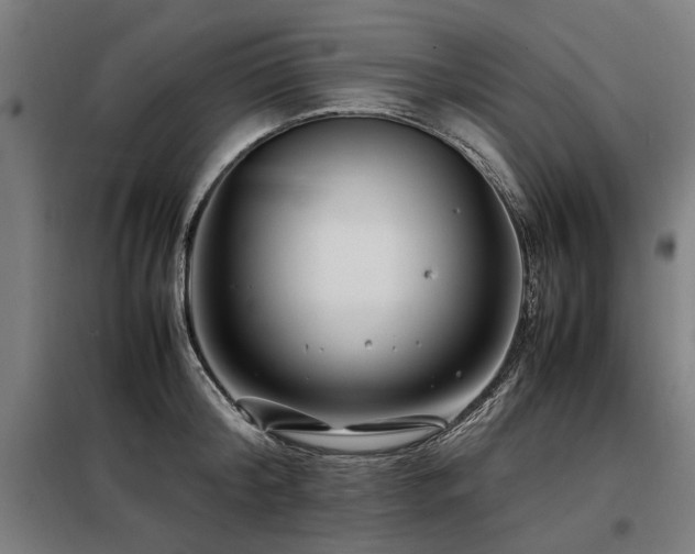 X0000098080804200804041147