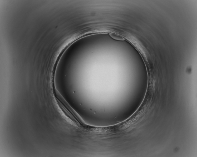 X0000098080805200804041147