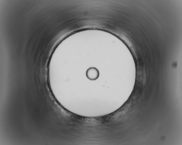X0000098080807200804041147