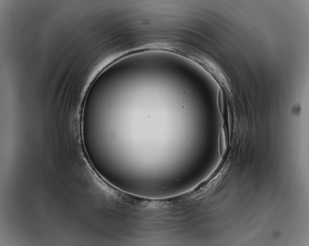 X0000098080808200804041147